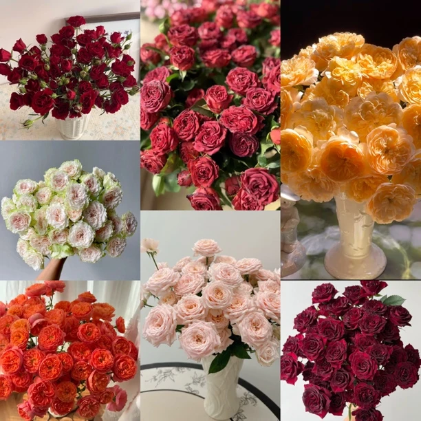 【九里甄选】迪瑞特双拼-云南现剪鲜花两单发顺丰