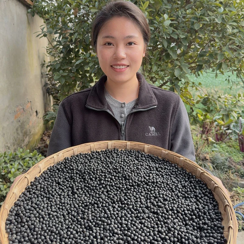 【赵幺妹代卖】黑豆 1斤装 绿芯黑豆