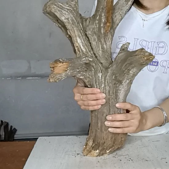诚***作木太行崖柏摆件摆件摆件