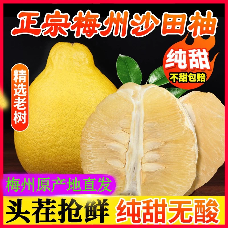 【纯甜无酸】梅州沙田柚特产广东金柚纯甜白心肉孕妇当季水果非容县
