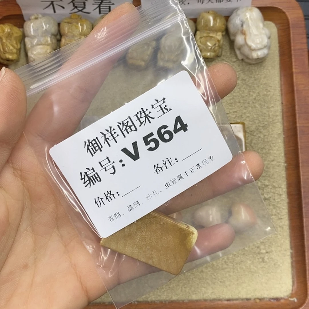 硅化珊瑚（珊瑚玉）颈饰未镶嵌梓*