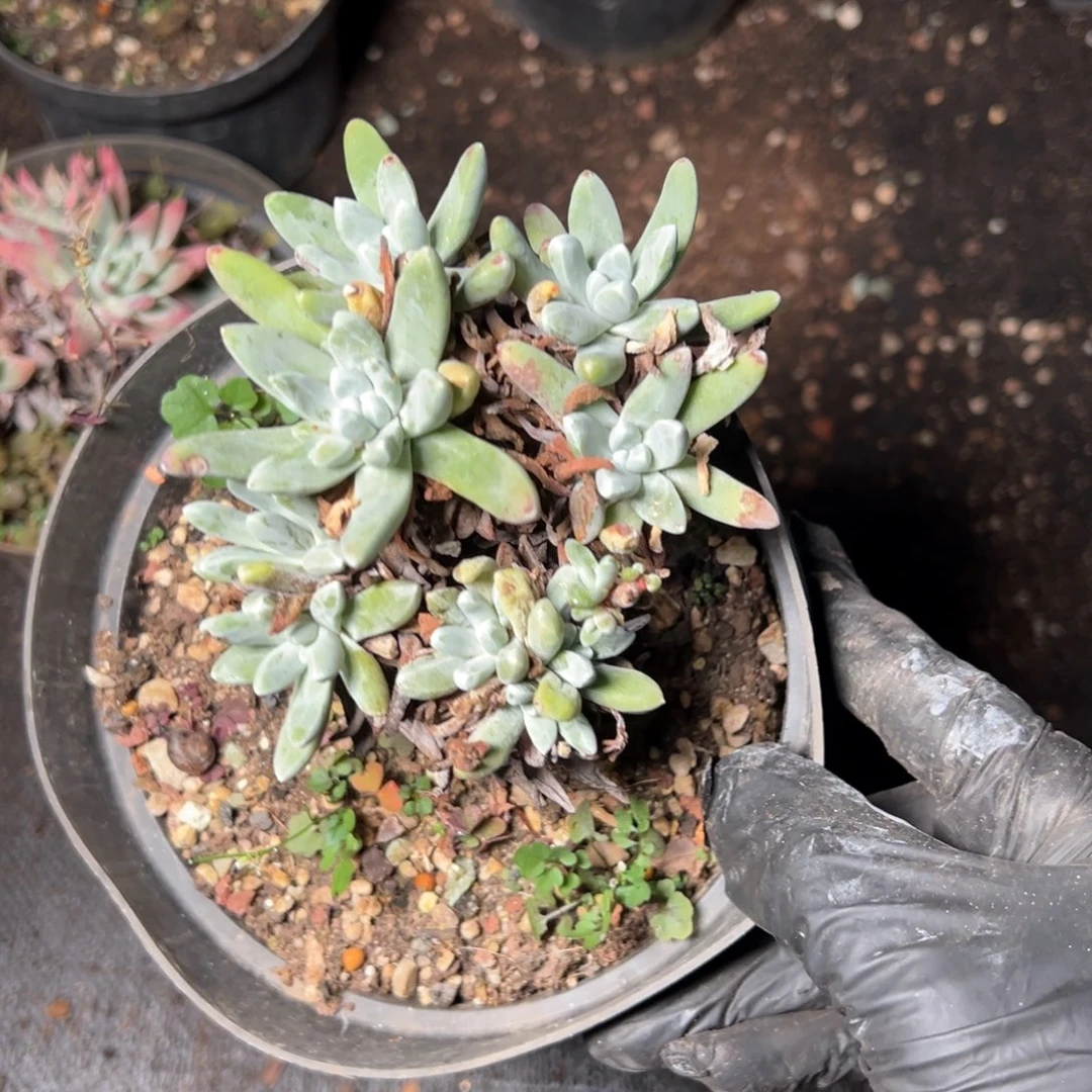 4708哈哈哈哈哈哈哈哈哈