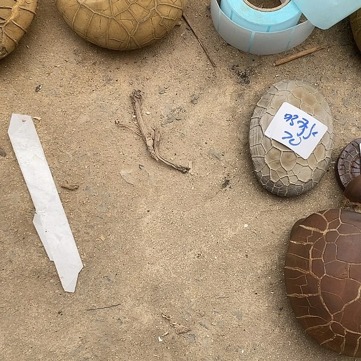 阿***哥去付吧哥谢谢谢谢