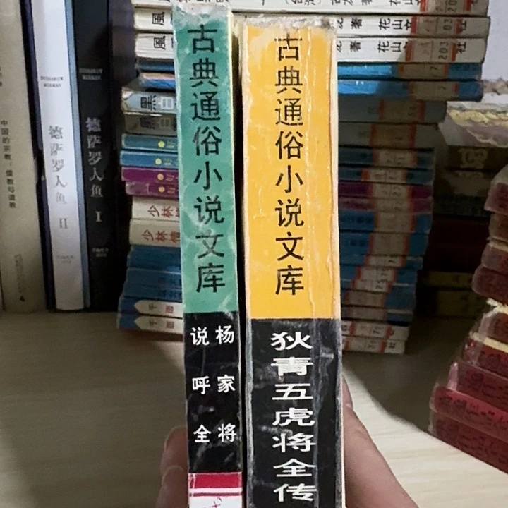 狄青五虎将小说两本