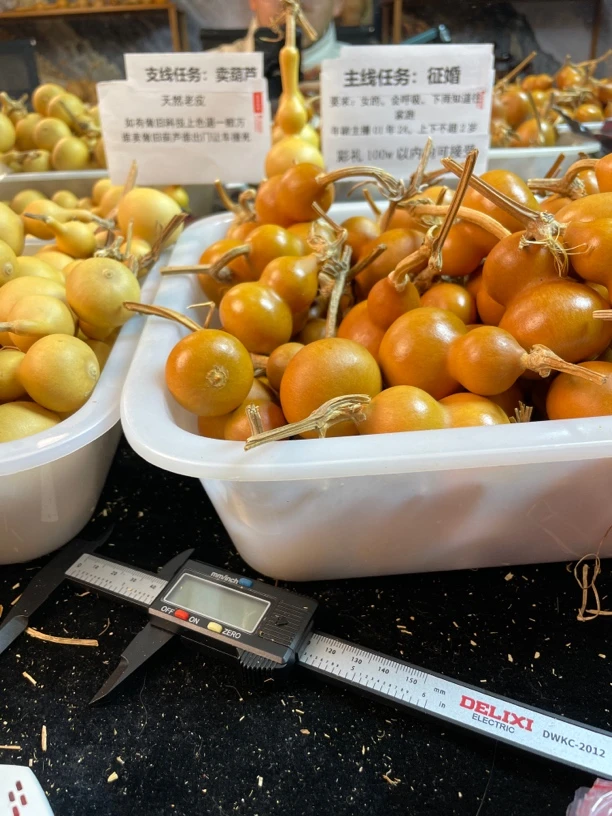 天然老皮葫芦把件直播间选拍，请勿私拍