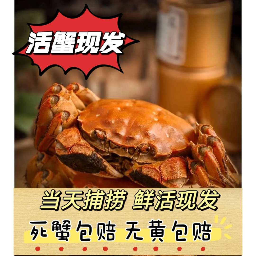 【活蟹】江苏精品大闸蟹礼盒8/10只装（3.7-3.5两公3.5-3.2两母）