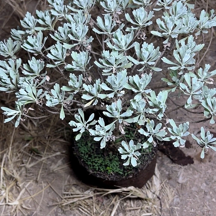 坚***持哈哈哈哈哈哈哈哈哈哈