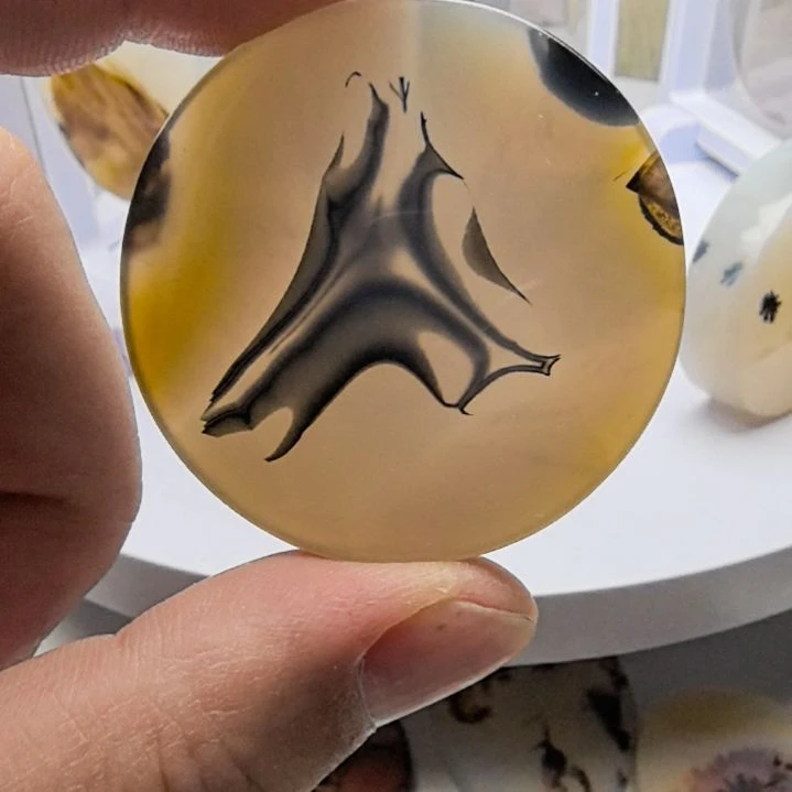 非金属时尚饰品10