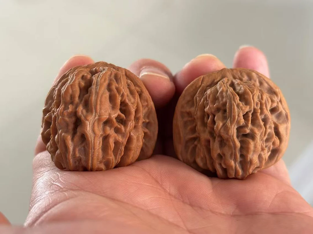 全品楼子35-42练手对