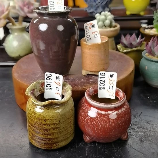 多肉拇指花盆编号