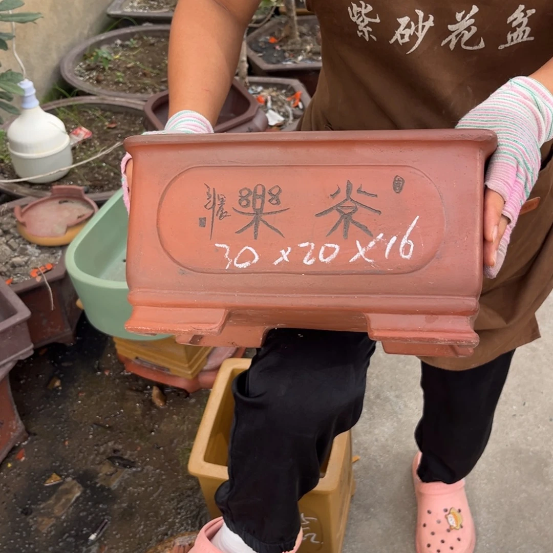 紫砂花盆盆景艺术