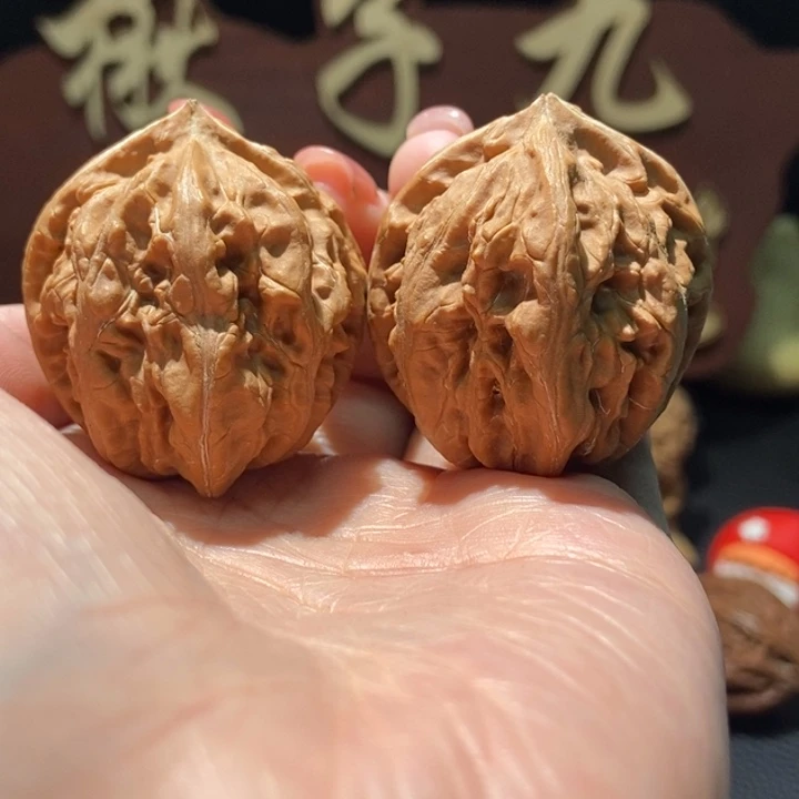 木质类聚核财婉楸40