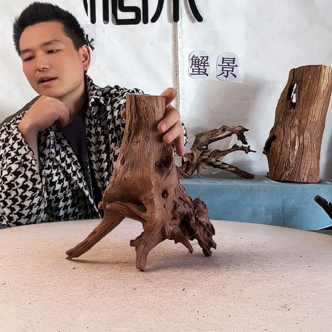 沉木造景爬宠造景