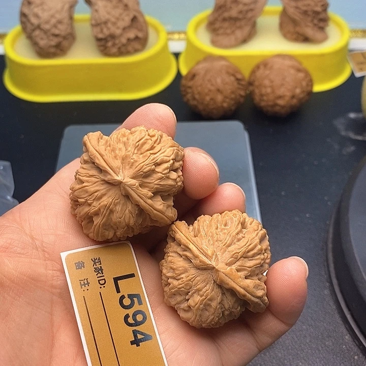 文玩核桃把件白狮3.8
