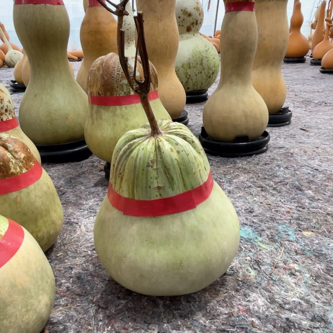 朴***石大叶紫檀（黑酸枝木类）