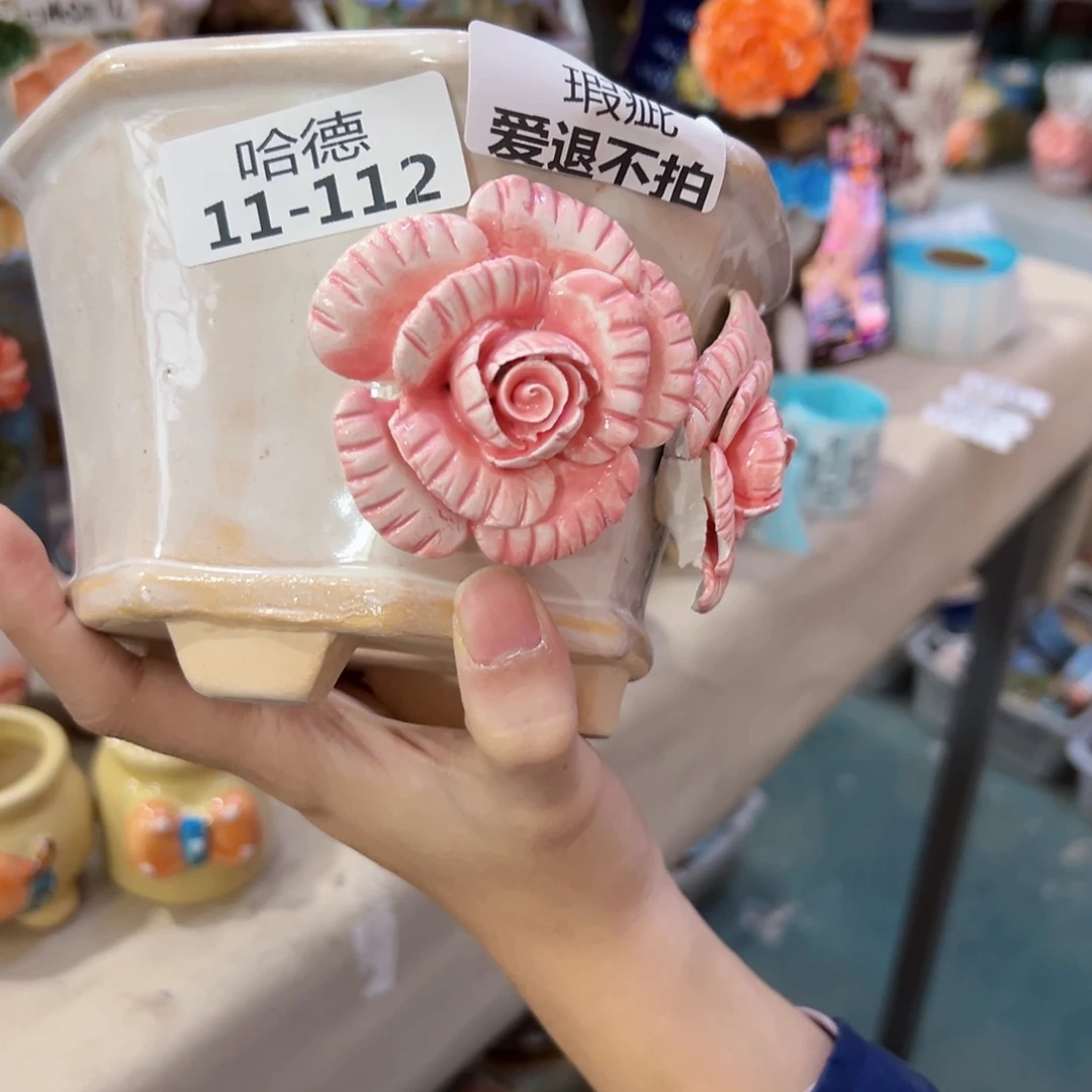 本场直播满100赠送一个花盆瑕疵11112