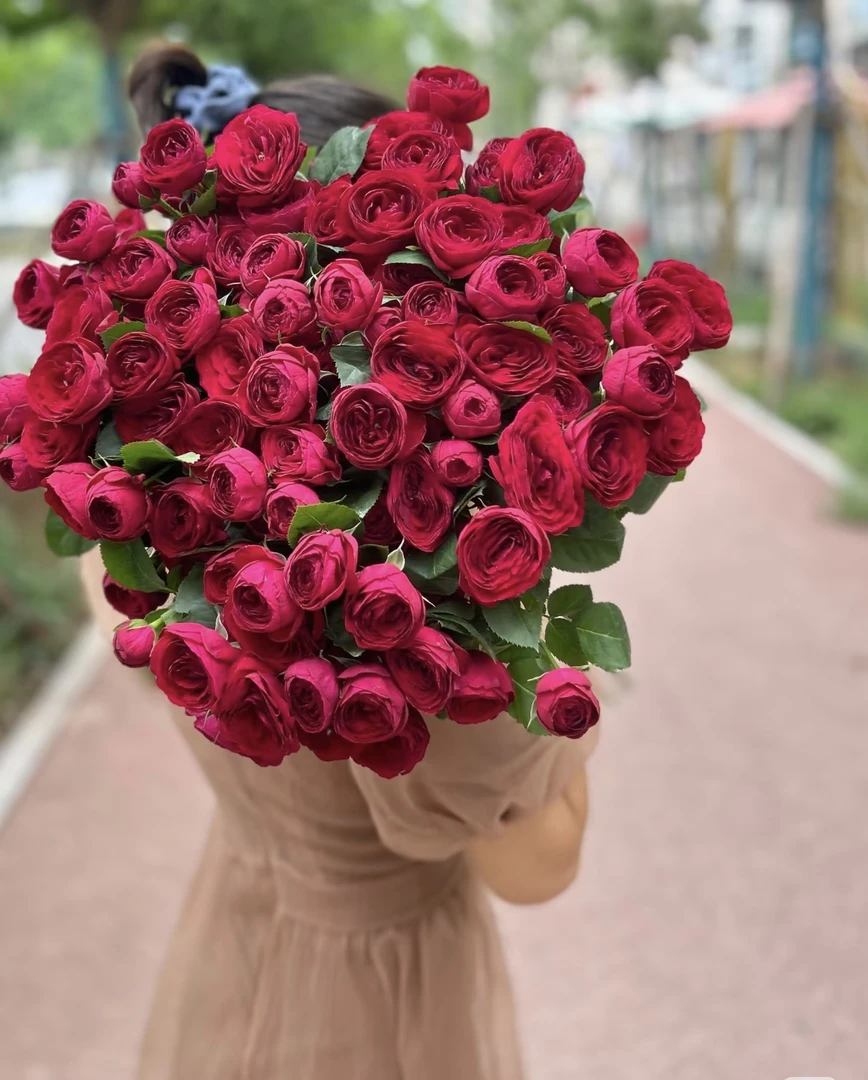 【玖宸花源】红蕾丝多头玫瑰 复古伯爵红色花瓣 高端稀有家庭瓶插花