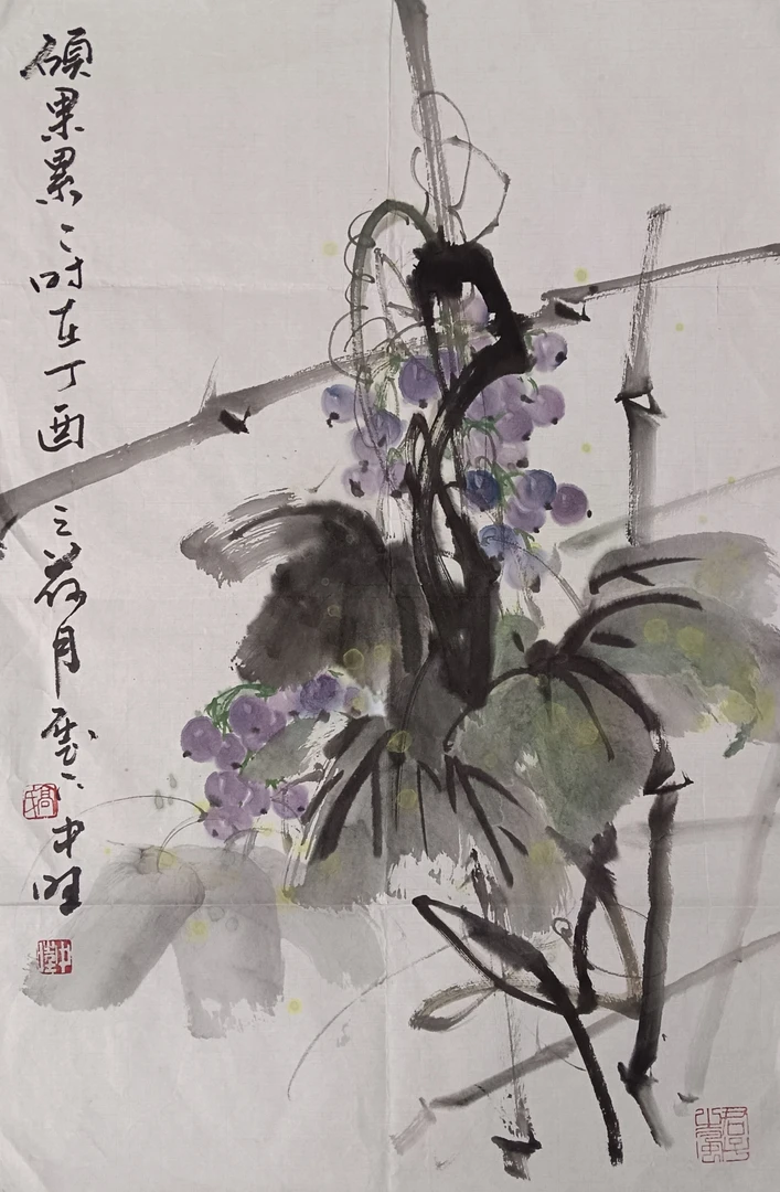 花鸟国画《硕果累累》尺寸70/46（厘米）