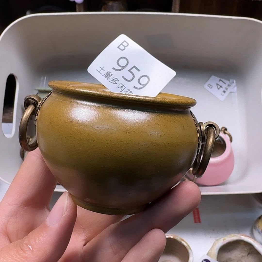 罐陶瓷艺术与工艺