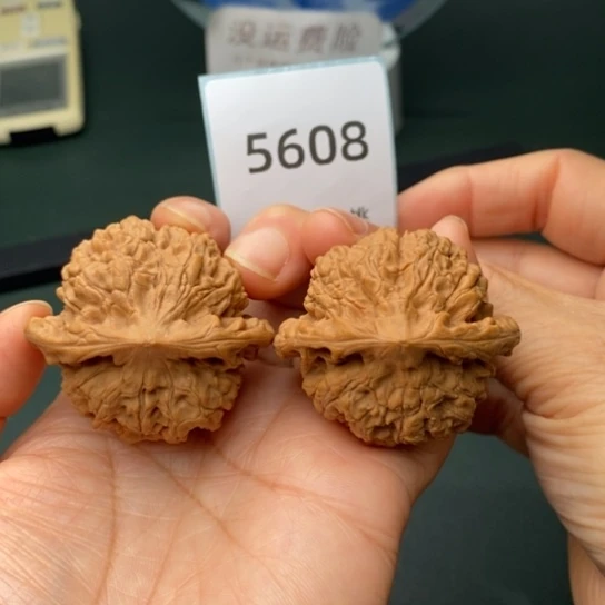 把件文玩核桃44官帽5608