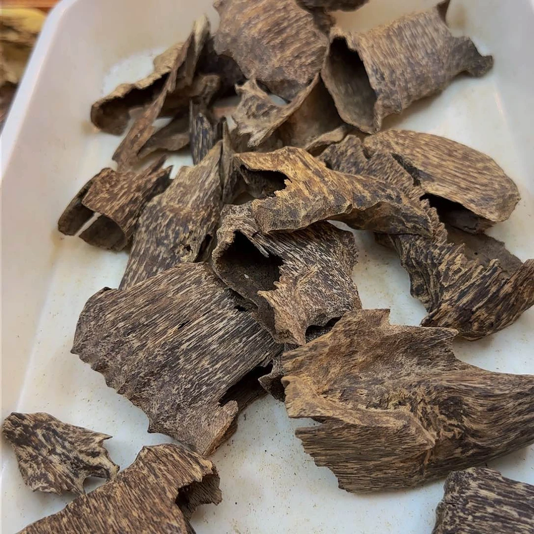 沉香沉香木制品善**舍越南芽庄野生沉香壳子95克