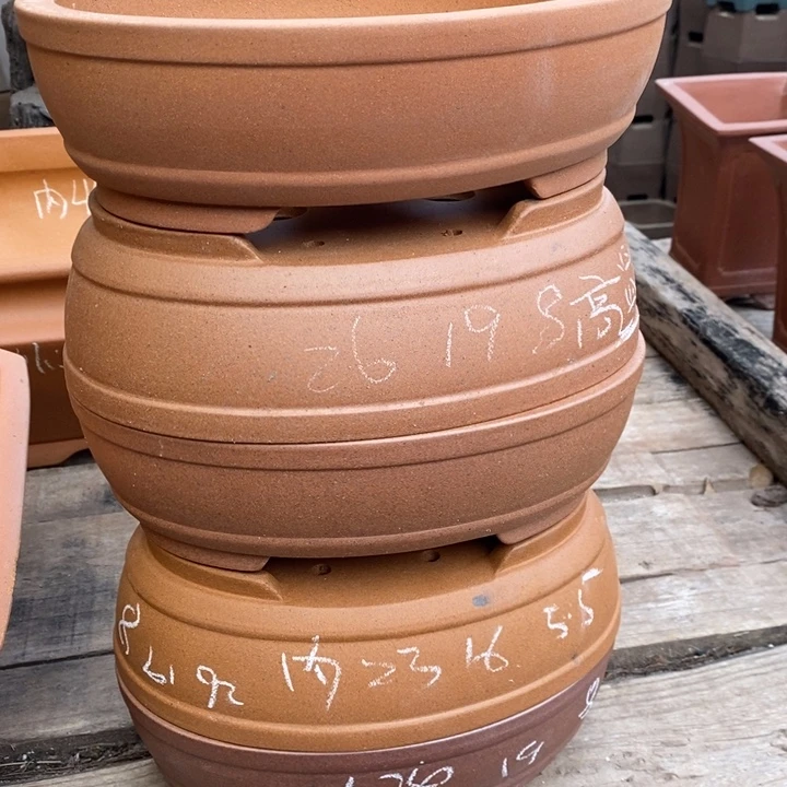 花盆紫砂只顾看手机