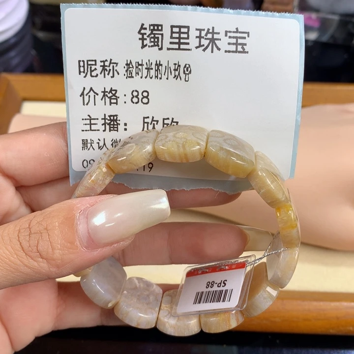 捡****硅化珊瑚（珊瑚玉）未镶嵌吊坠(赠链)