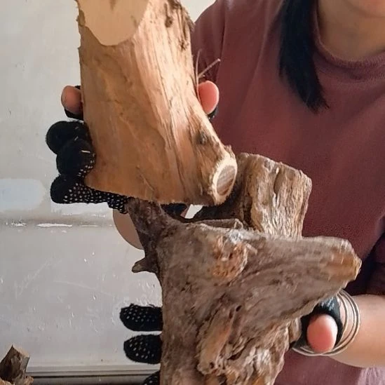 泽***心木太行崖柏摆件摆件摆件