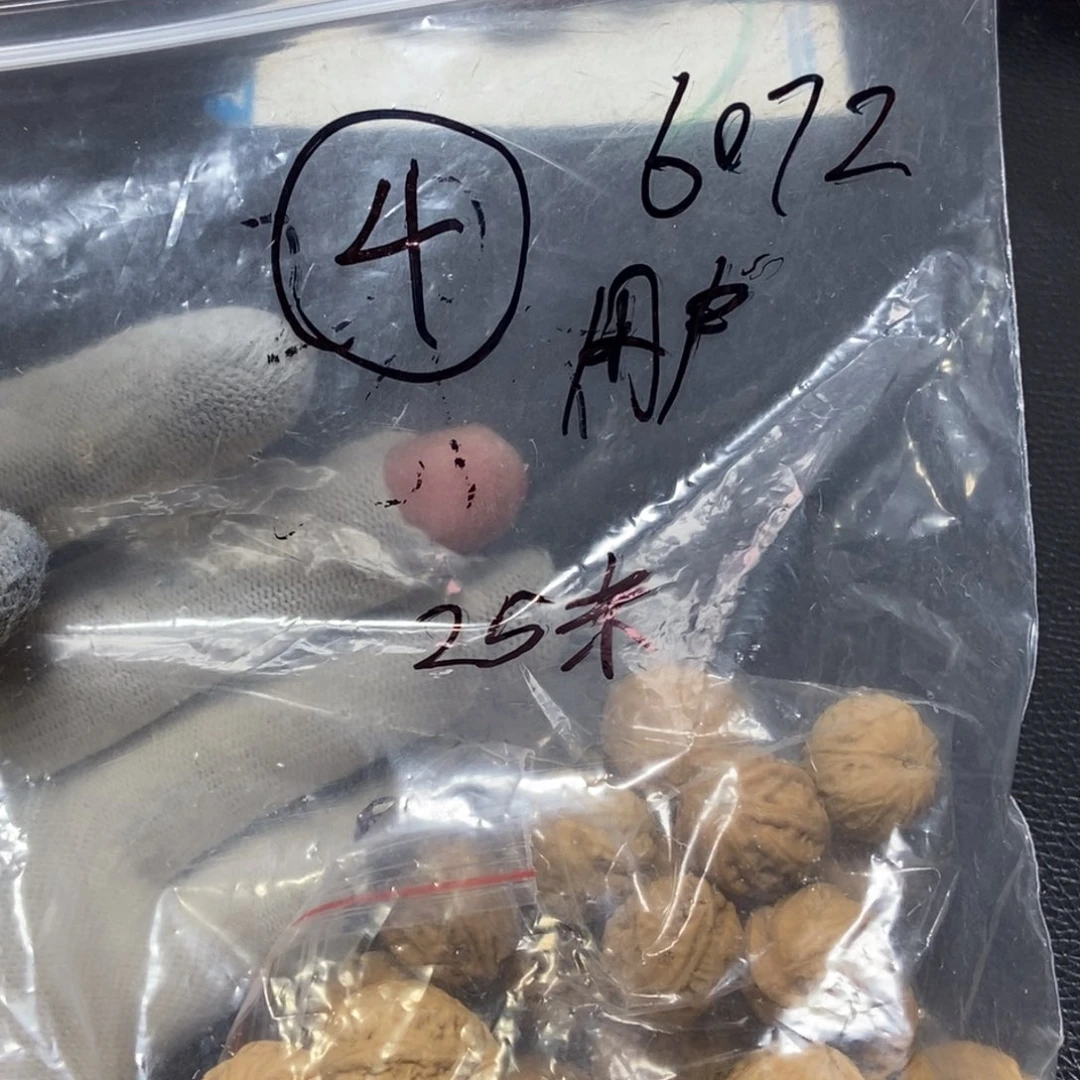 文玩核桃吊坠用****2秋子