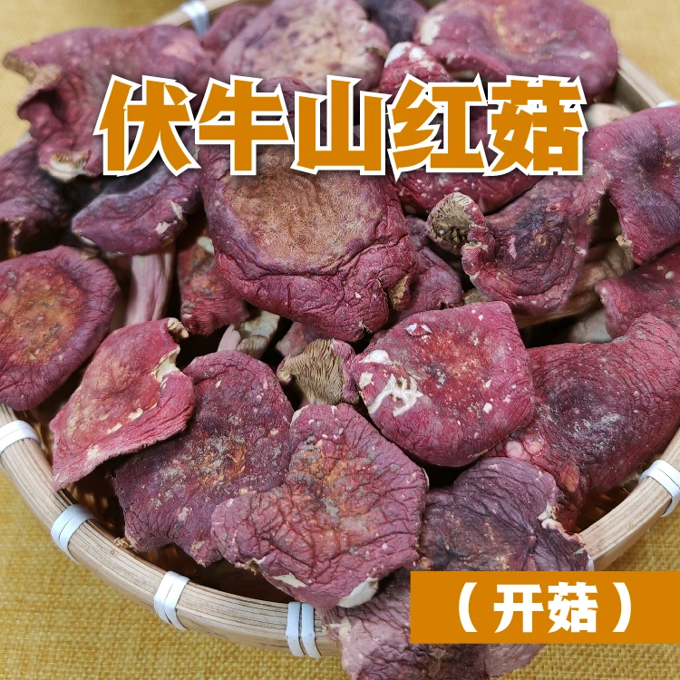 【福利开伞】河南红菇2025年伏牛山菌菇干货河南营养美味煲汤特产