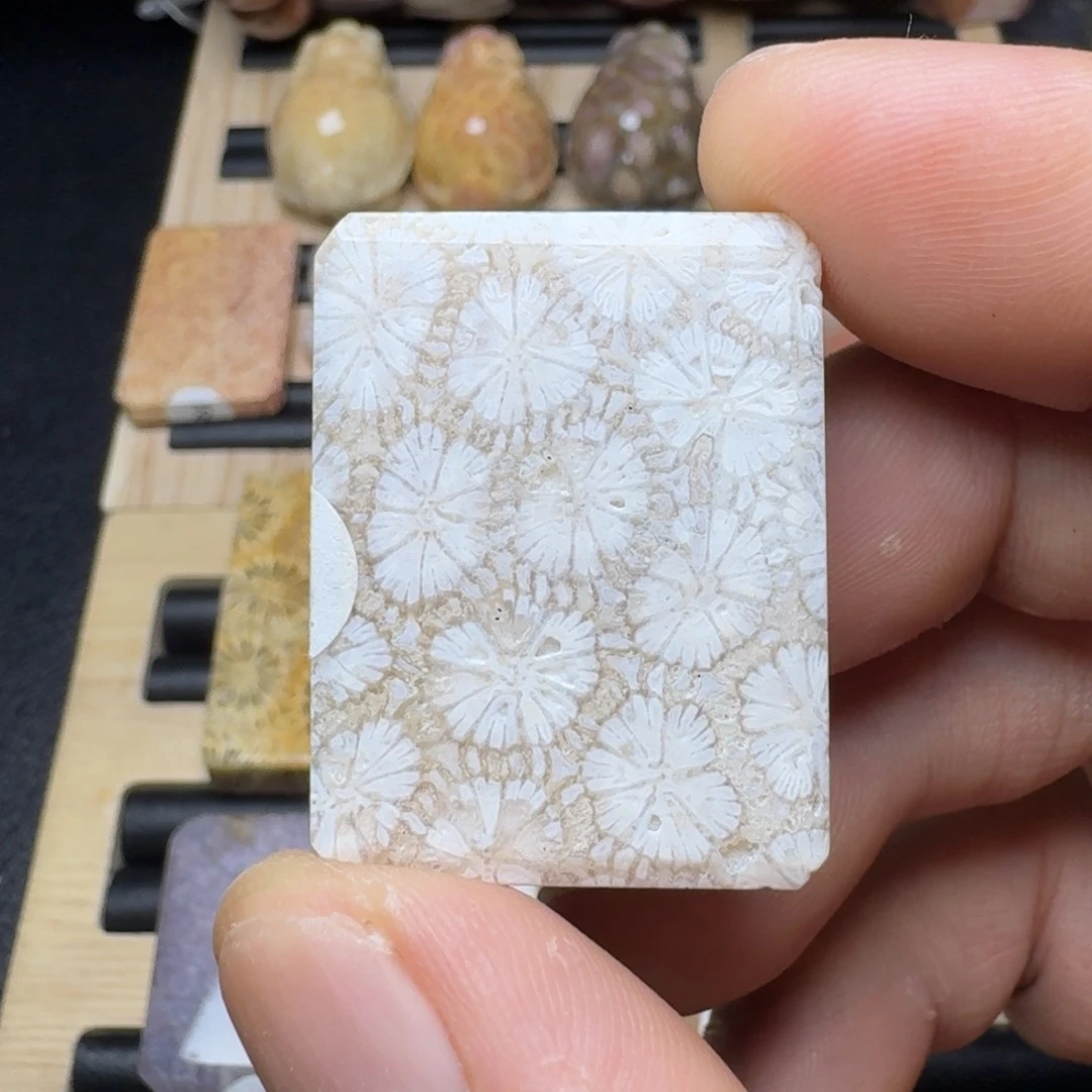 硅化玉未镶嵌纯天然色有机玉石保真色