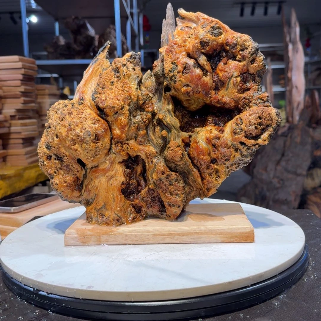 木皓*王一刀琥珀木9