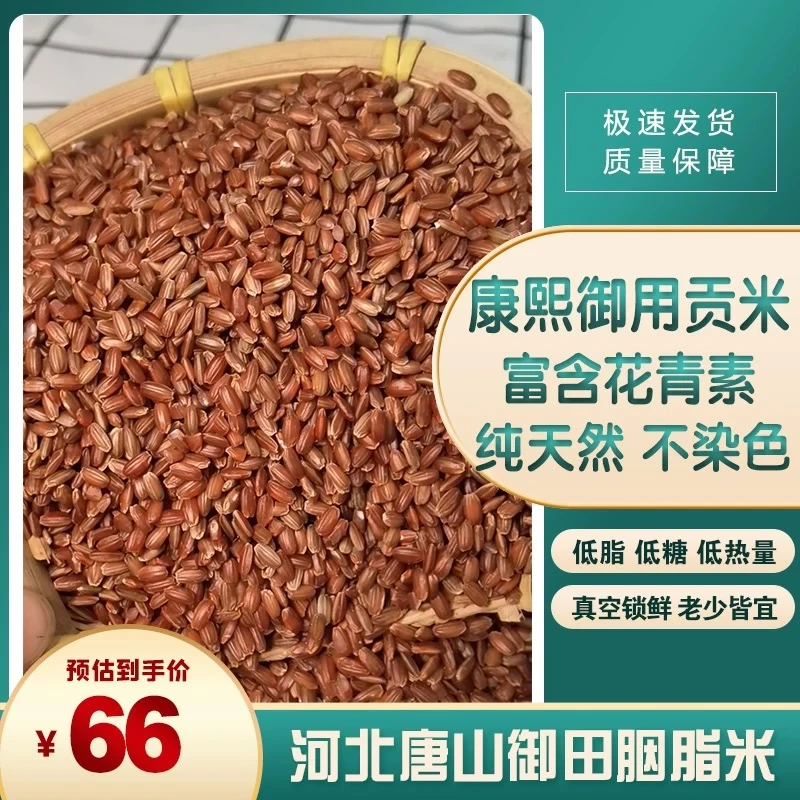 孕妇低脂糙米杂粮粗粮五谷河北唐山正宗御田胭脂米老玄米农场直销