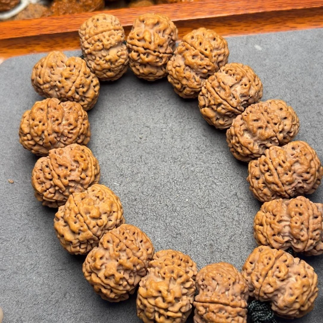 菩提31号尼泊尔大金刚六瓣27原生态平头尾梅花