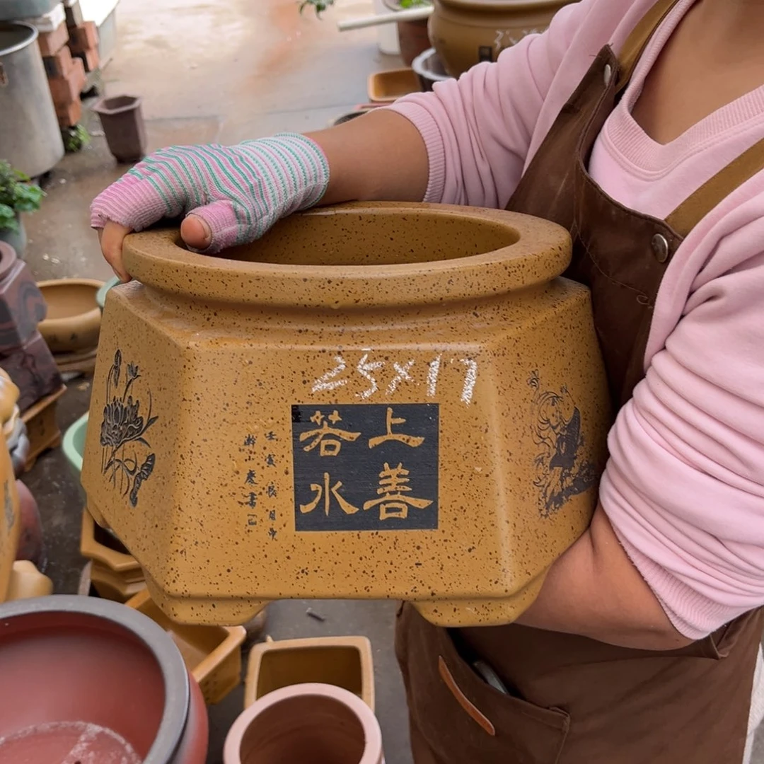 花盆紫砂盆景艺术