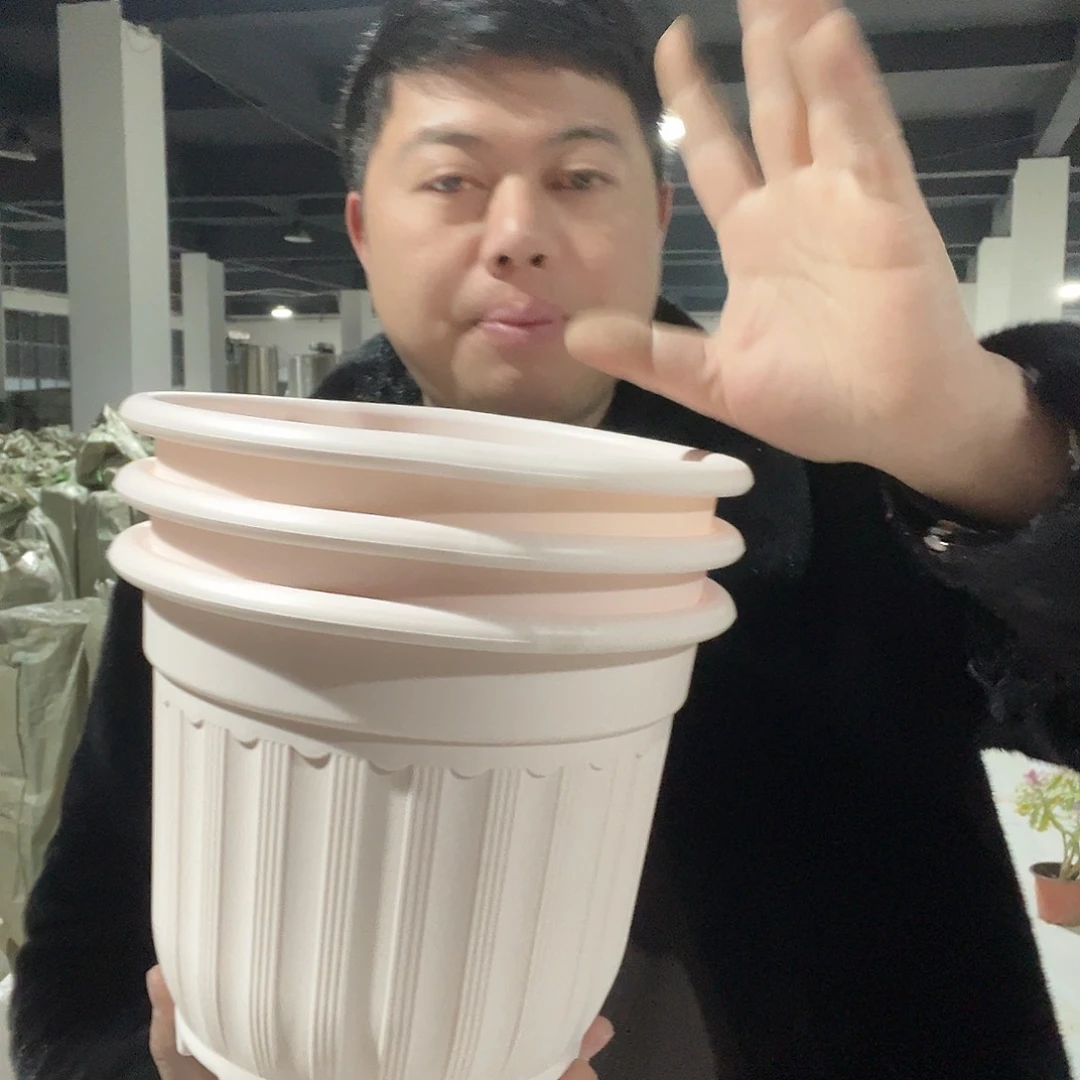 树脂罗马240粉3个无托