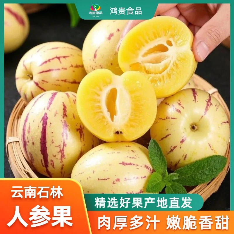 云南正宗石林人参果产地直发新鲜采摘低糖水果当季树熟清甜多汁