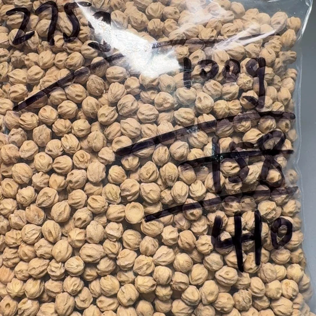 柏香籽/百香籽吊坠骑****路