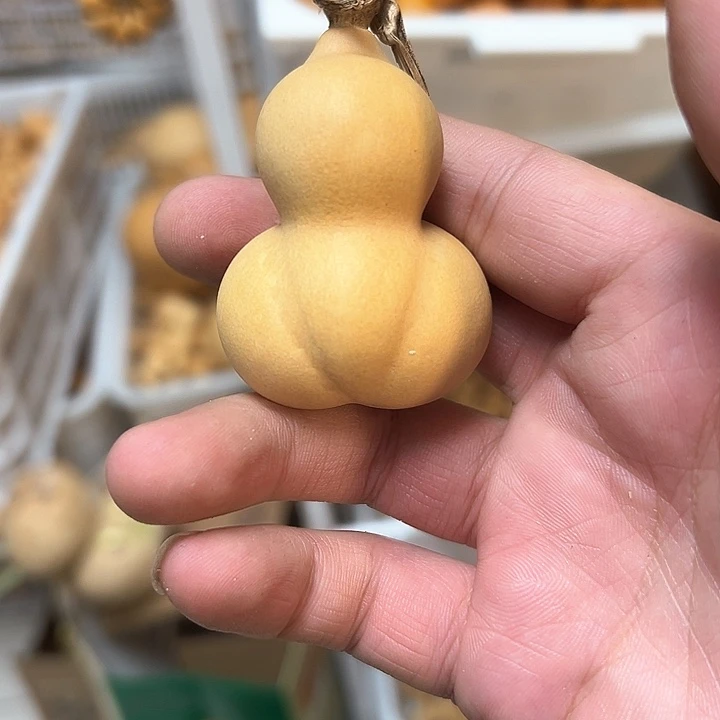 海**开葫芦葫芦葫芦个葫芦葫芦葫芦