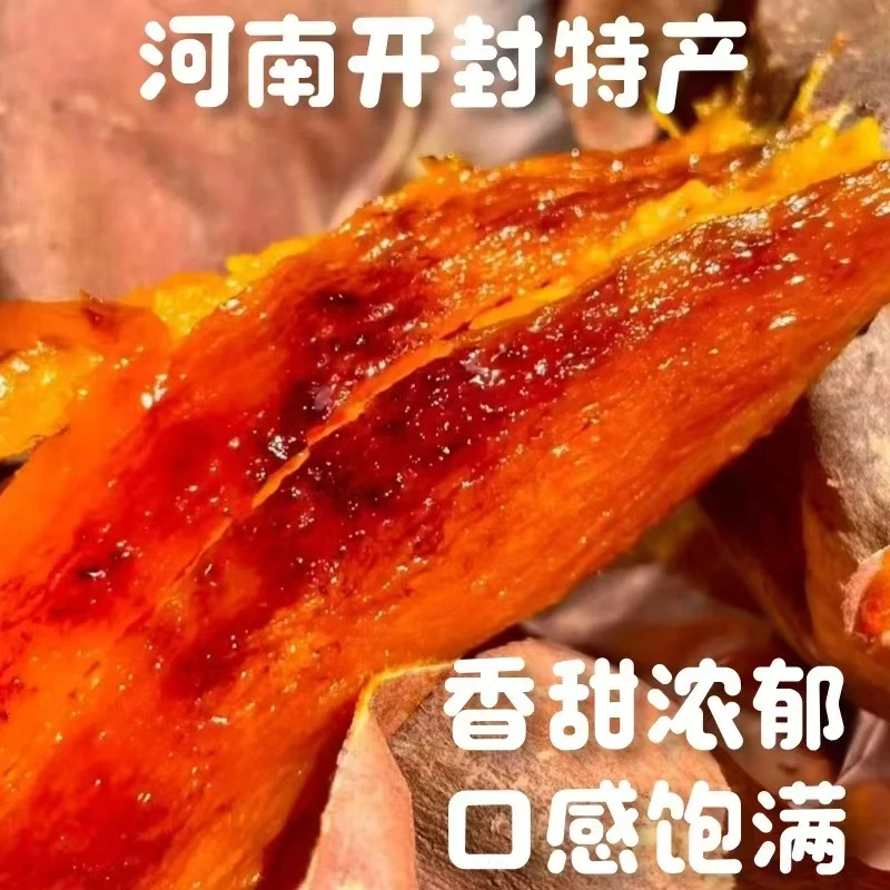 正宗沙地西瓜红蜜薯烤蒸煮新鲜现挖番薯地瓜香甜软糯农家糖心红皮