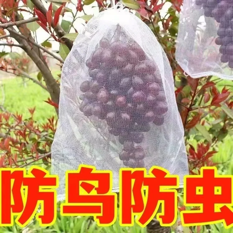 水果网套袋防虫防鸟纱网袋草莓套袋葡萄透气套袋无花果番石榴套袋