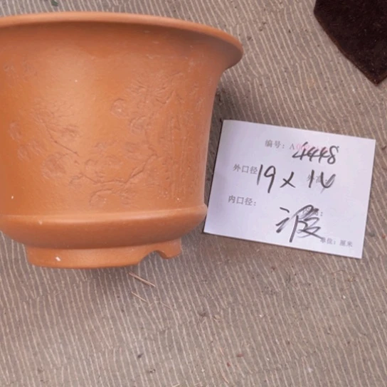 紫砂花盆花卉工艺