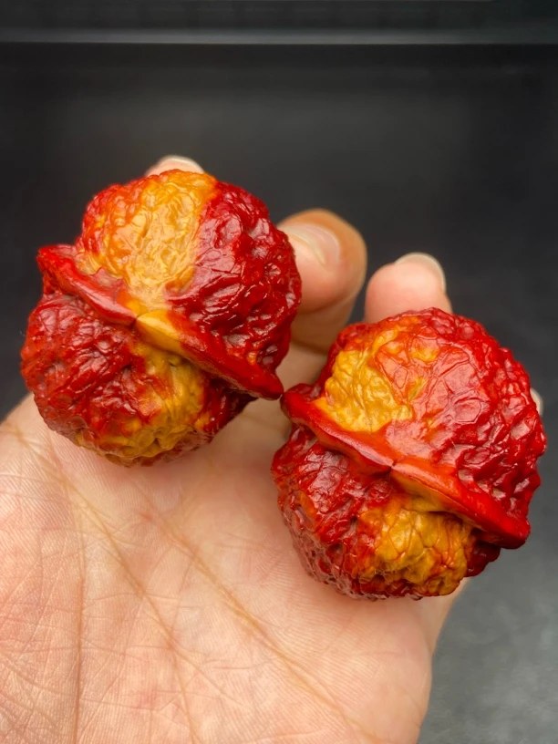 云南铁核桃 文玩核桃 40-41七彩金蟾王发货图片同款随机一对