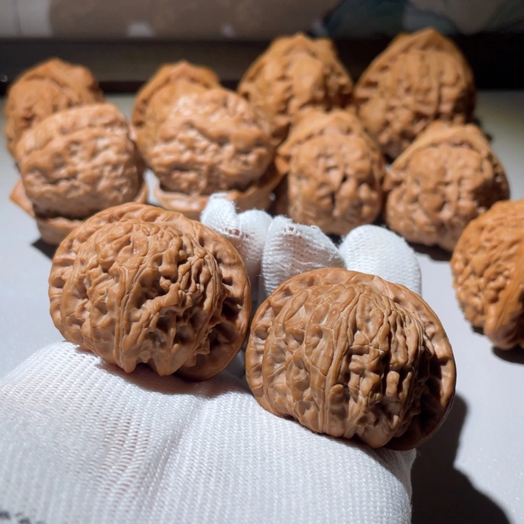 文玩核桃白狮子核桃