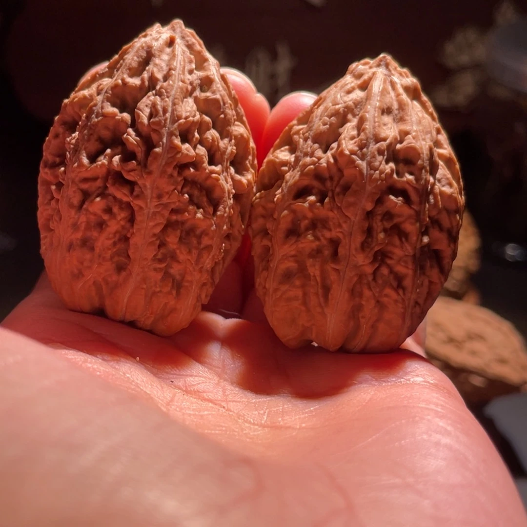 文玩核桃吊坠A****好老树蚂蚁塔38