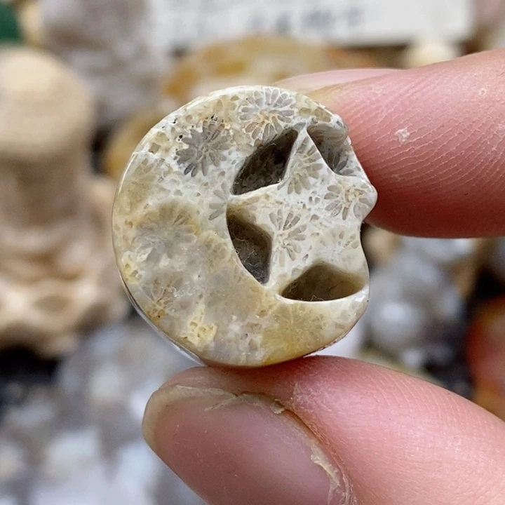 硅化珊瑚（珊瑚玉）未镶嵌颈饰有瑕 小