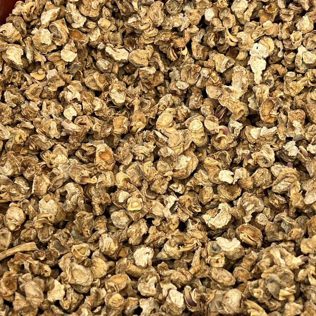 【普源优选】西洋参芦头