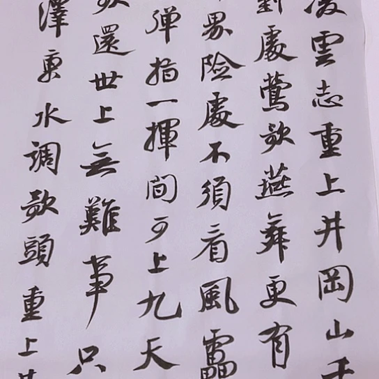 书法张建东老师书法作品