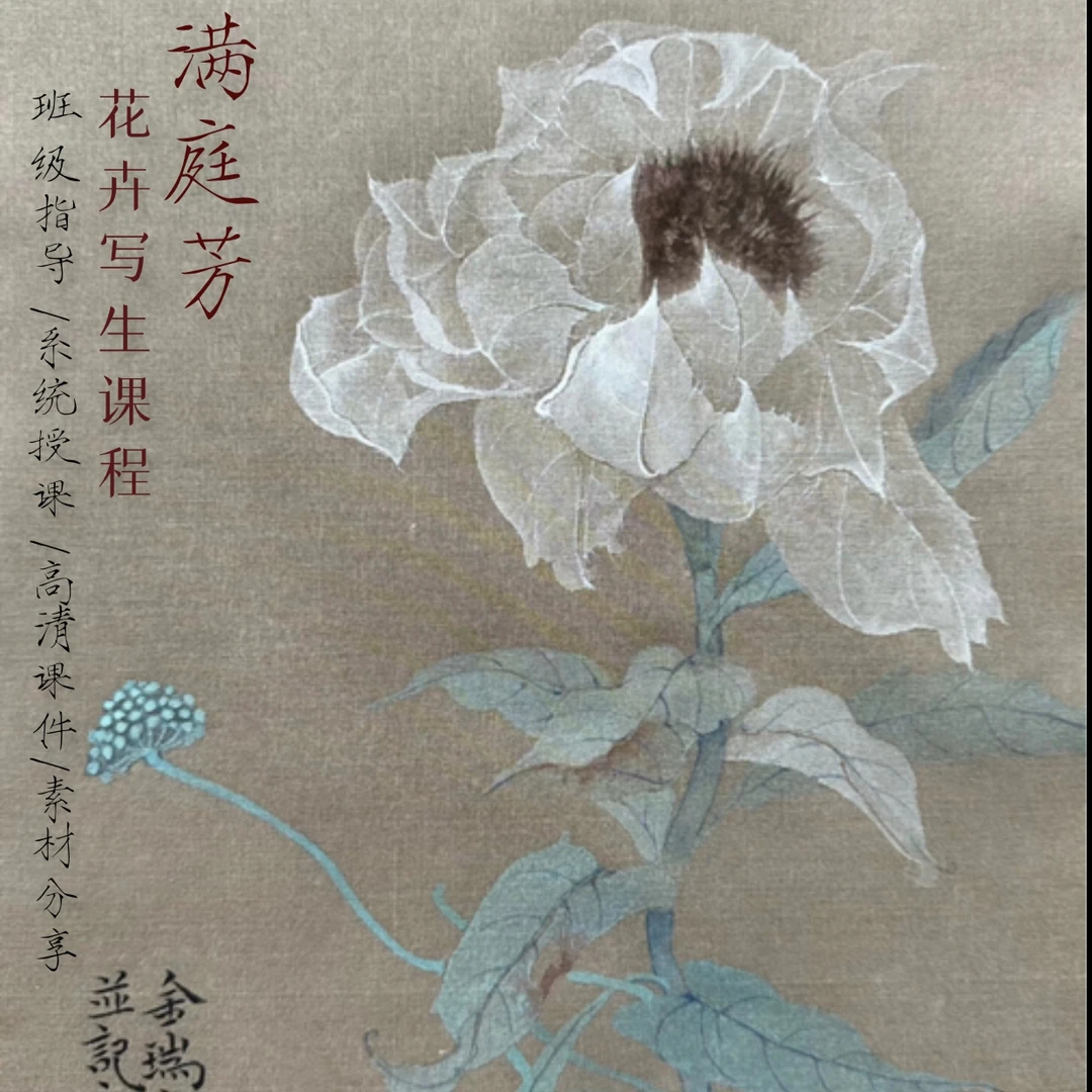 满庭芳--花卉写生课程(精讲大课)