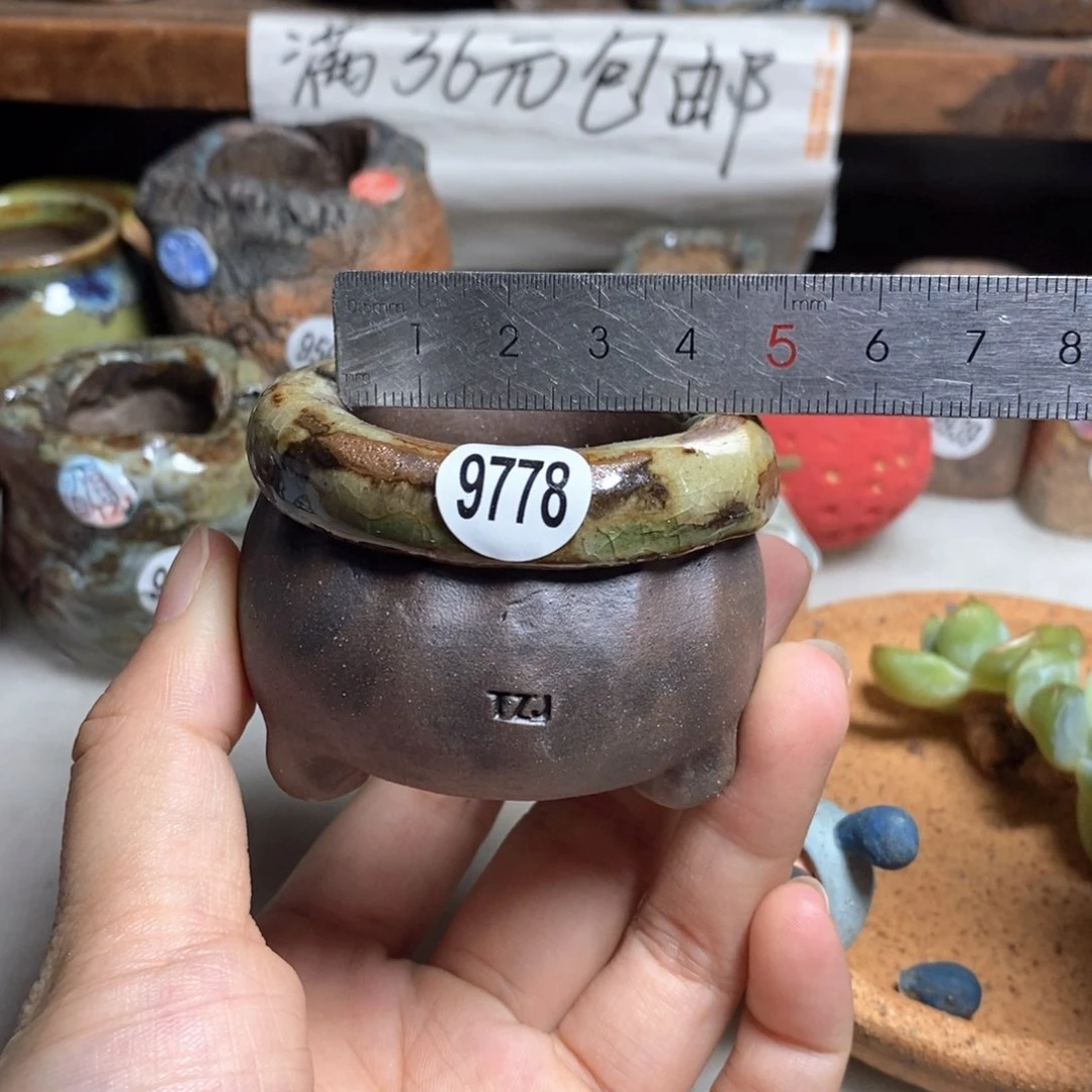 拍3送一个小礼物